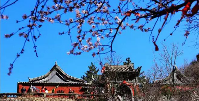 鸡鸣山第八届桃花节盛大开幕 (3).jpg