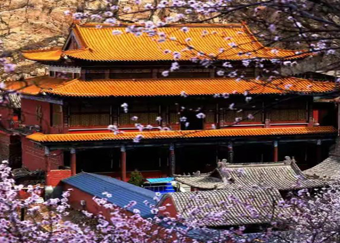 鸡鸣山第八届桃花节盛大开幕 (2).jpg