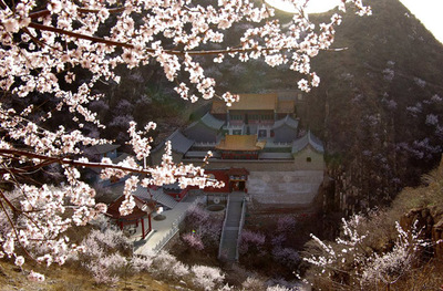 山花烂漫映古寺