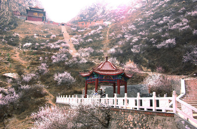 山花烂漫