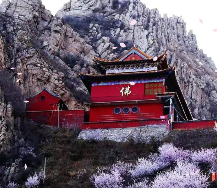 五届“鸡鸣山桃花节”开幕 (3).jpg