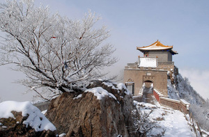雪映山顶