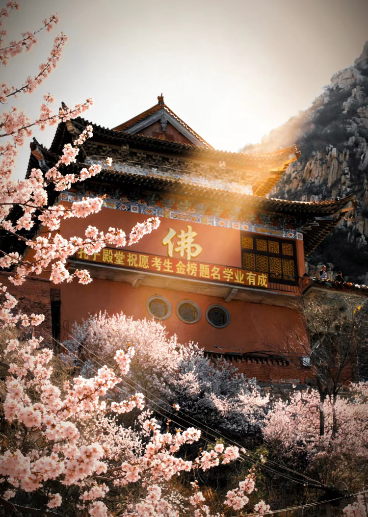 鸡鸣山第九届桃花节 (5).jpg